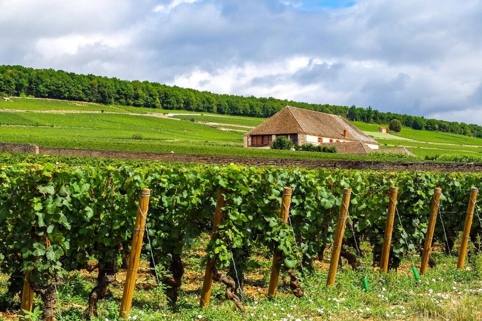 Voco Beaune , Cite Des Vins By Ihg מראה חיצוני תמונה